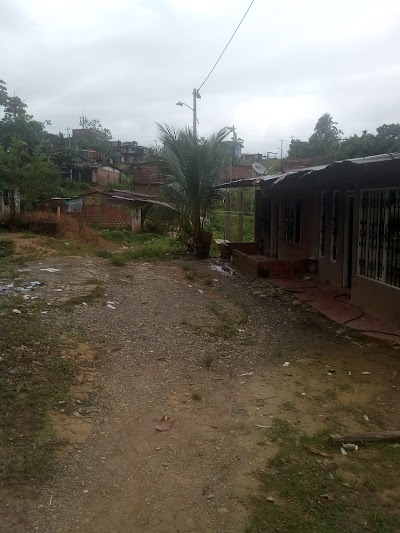 Photos of La mona