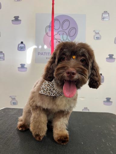 Estética Canina Patitas y Garritas