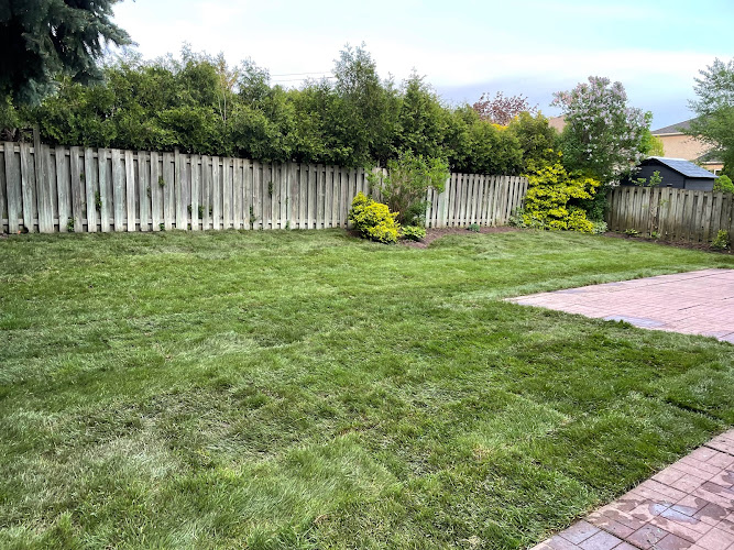 Armour Landscaping work photo 1