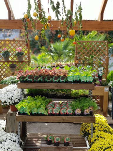 Casla Gardening - Thumbnail
