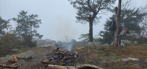 Cheaha Wilderness - Thumbnail