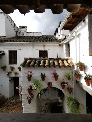 Centro de Flamenco Fosforito - Thumbnail