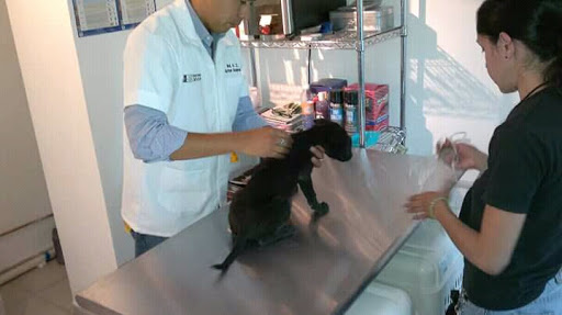 Veterinaria Pet Zone