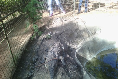 Photos of Blueshade Hotel