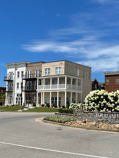Longevity Chiropractic - Visual