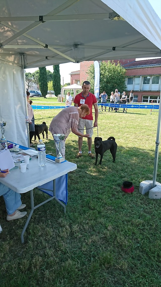 Ecole Nationale Vétérinaire de Toulouse