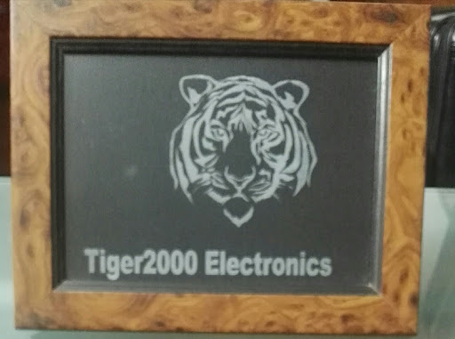 Tiger2000 Electronics - Visual