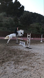 Photo n°2 de Centre Equestre Le Nénuphar à Puget-Ville (Centre de randonnée équestre)