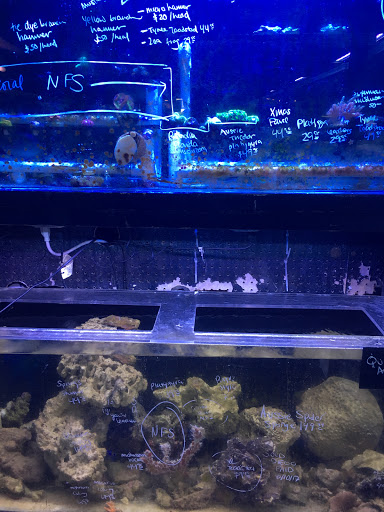 Ultimate Aquarium Inc - Thumbnail