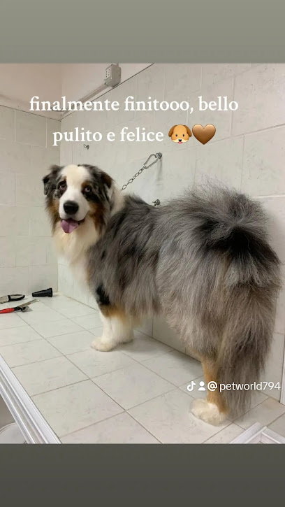 Toelettatura Pet World