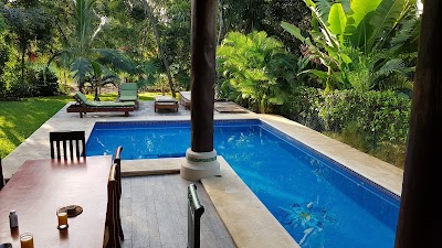 Photos of Casa Dos Papagayos