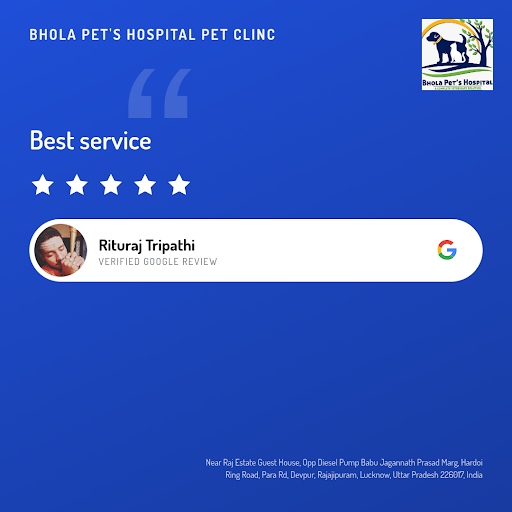 Rituraj Tripathi, a delighted customer, shares his exceptional experience at Bhola Pet's Hospital… post image