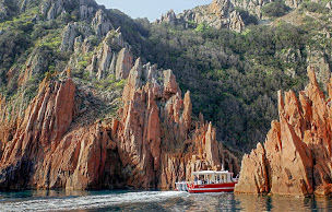 Photo n°1 de Le Pass Partout - Promenade En Mer À Porto à Ota (Agence d'excursions en bateau)