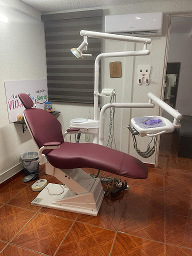 Dental B - Visual