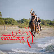 Poney-Club Paese Di U Cavalluciu à Sorbo-Ocagnano