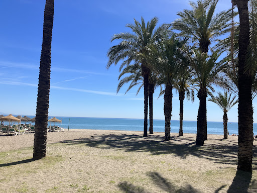 Palmeral - Visual