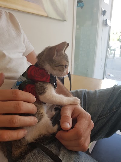 Photos of Veterinary hospital in the square