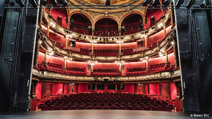 Les Célestins, Théâtre de Lyon