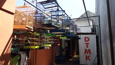 Photos of DTMK