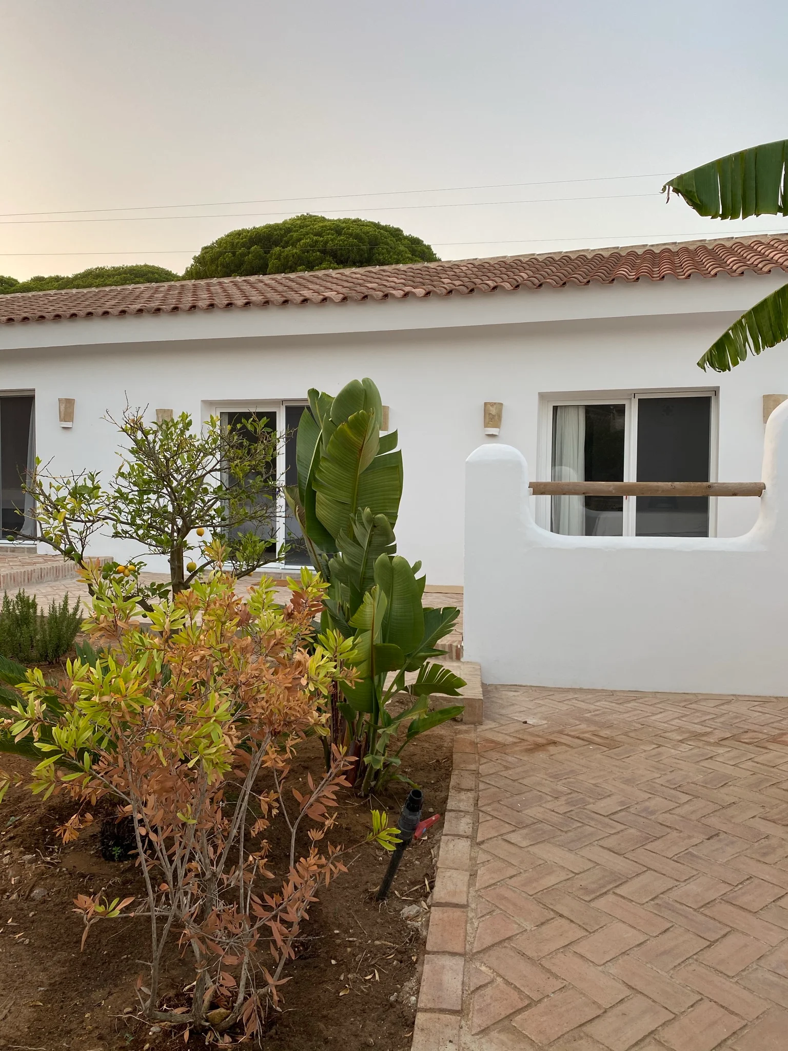 La finca de Véro