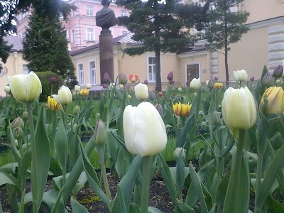 Photos of ФГБОУ ВО &laquo;Северо-Западный государственный медицинский университет им. И.И.Мечникова&raquo;