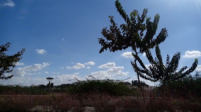 Photos of פארק סרן דב