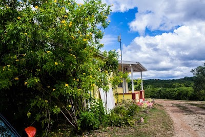 Photos of Pioneer Kennel & Veterinary Clinic