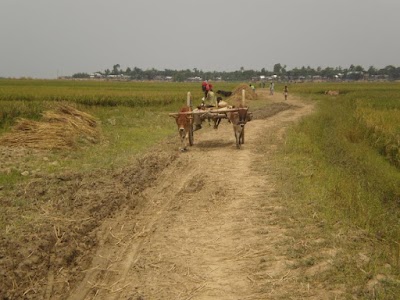 Photos of Kolimpur Govt. Primary School near by Hazi Bari
