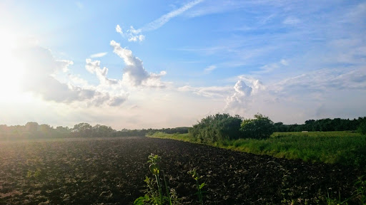 L-Moor, Shepreth - Thumbnail