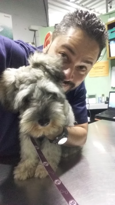 veterinary-care