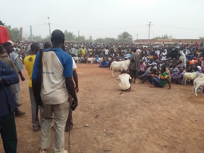 Photos of Market