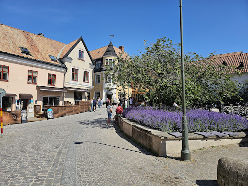 Systemet Visby - Visual