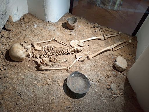 Museo Archeologico Nazionale "Giorgio Asproni" - Thumbnail