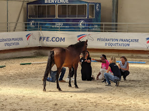 Photo n°2 de L'Académie Equicoaching à Leuc (Centre de formation)