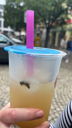 Lux Bubble Tea Gallery - Germany
