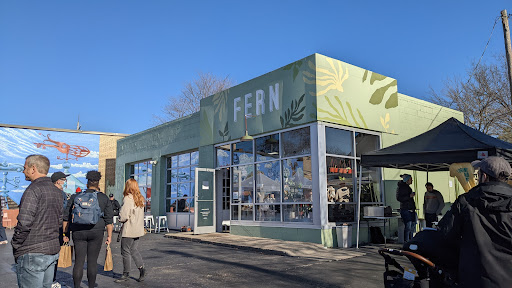 Fern - Visual