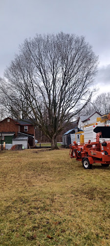 Parsons Tree Services LLC