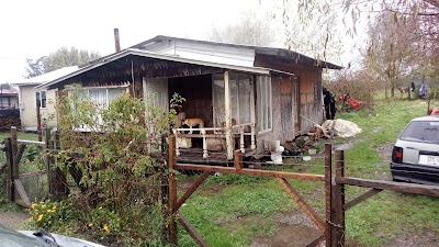 Photos of Rio Juegos
