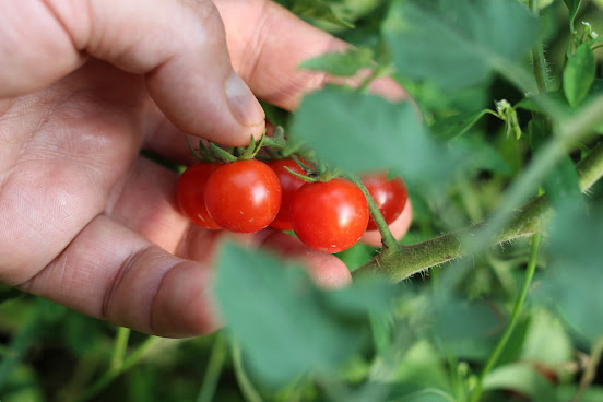 Valle Místico Hotel Boutique by null