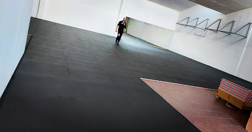 Brazilian Jiu Jitsu Palagym - Thumbnail
