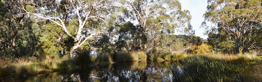 Mount Macedon Realty - Thumbnail