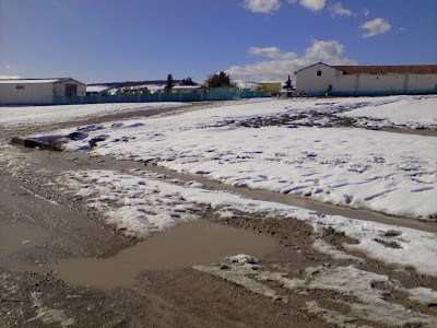 Photos of Ferme
