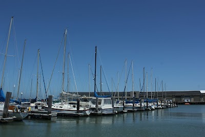 San Francisco Whale Tours