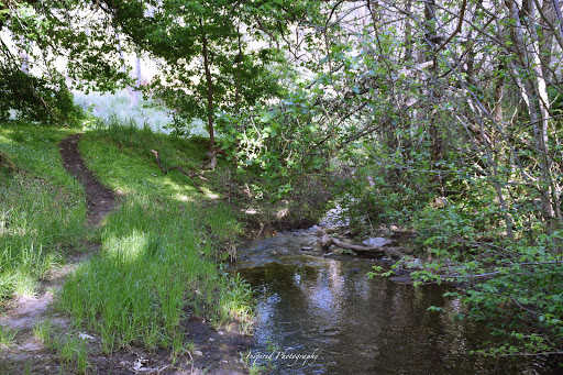 Brownhill Creek Recreation Park - Thumbnail