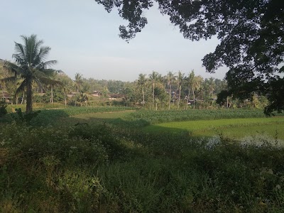 lodging