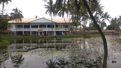 Photos of Pacific Harbour Arts Village