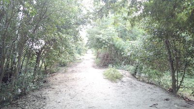 lodging