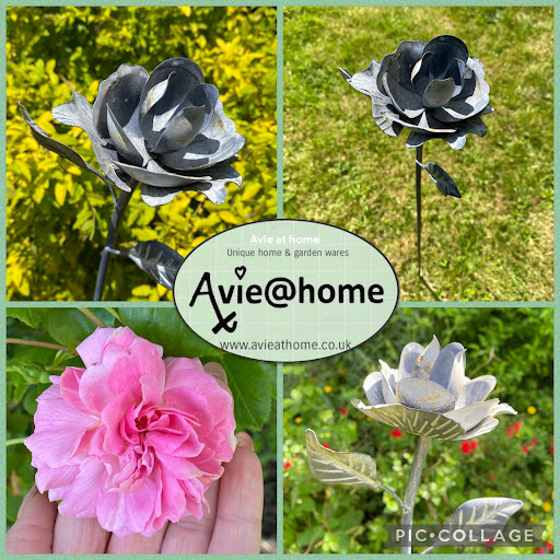 Avie at home - Thumbnail