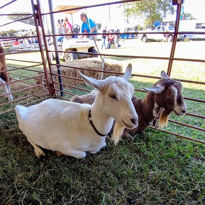 USA Stadium & Rodeo Arena