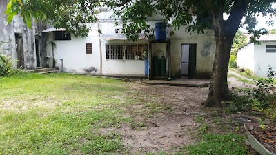 Photos of Hotel Villa de las Palmas
